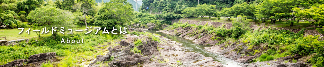 丹波地域恐竜化石フィールドミュージアム フィールドミュージアムとは 丹波地域恐竜化石フィールドミュージアム フィールドミュージアムとは